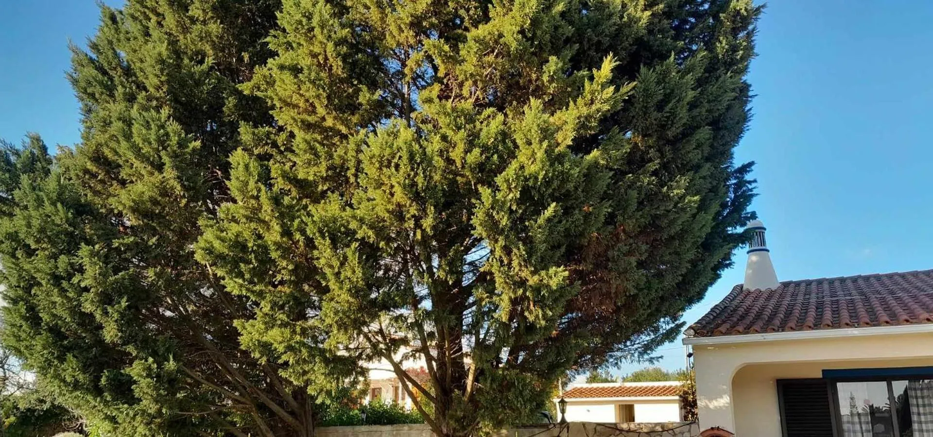 Holiday home Casa Joaquina Villa Carvoeiro